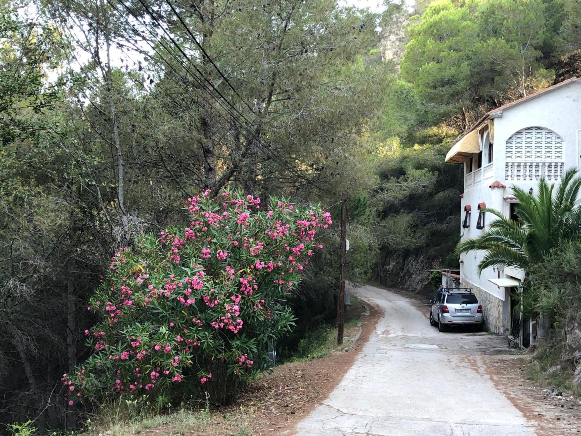 Almisera Villa Almiserat Bagian luar foto